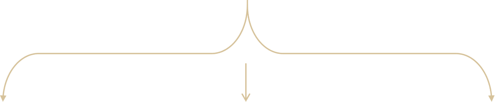 Connector